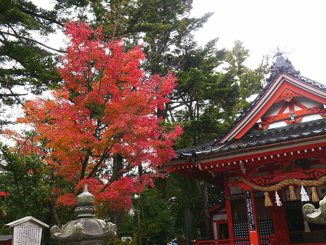 金沢神社  写真
